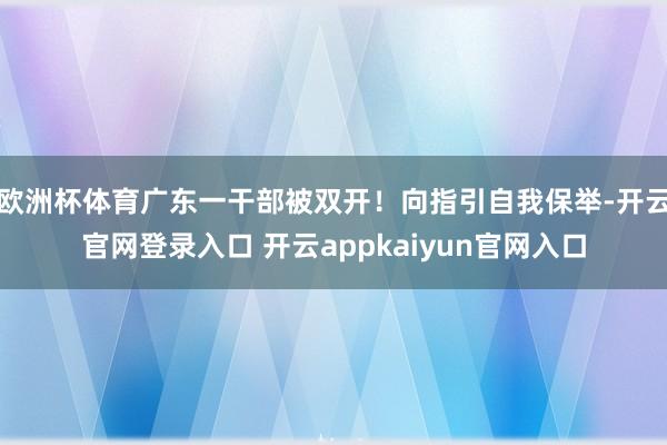 欧洲杯体育广东一干部被双开！向指引自我保举-开云官网登录入口